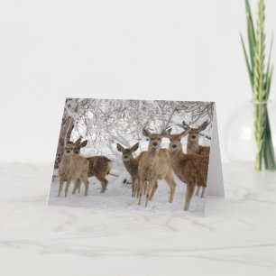 Carte Cerf Mule Wyoming