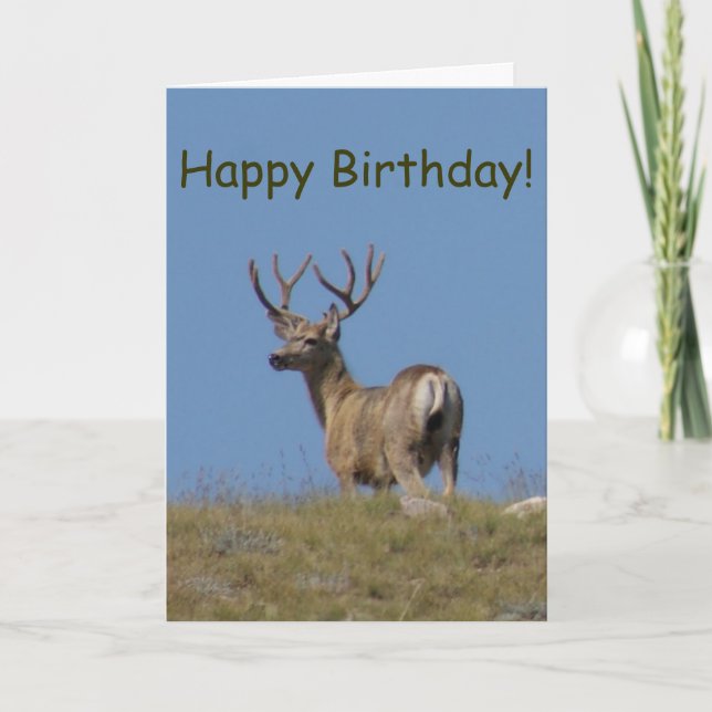 Carte Cerf mulet D9a en velours (Devant)