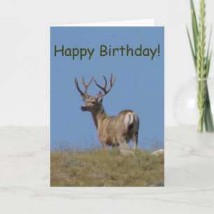 Carte Cerf mulet D9a en velours