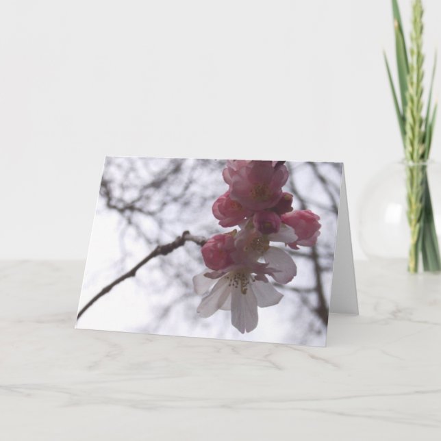 Carte cerise (Devant)