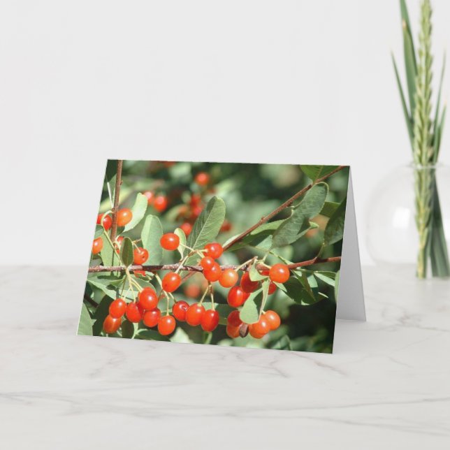 Carte Cerises sauvages 1 (Devant)