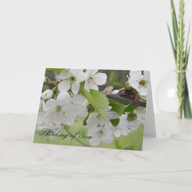 Carte cerisier en fleurs, Pensez à vous (Devant)