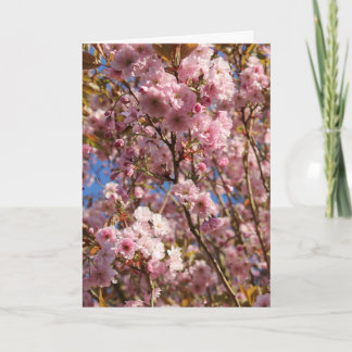 Carte Cerisier Rose Fleur de Printemps