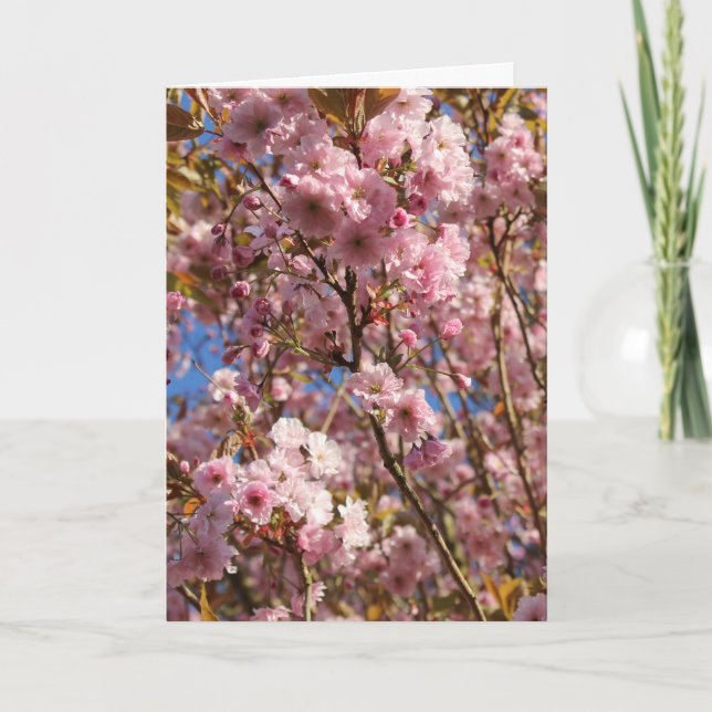 Carte Cerisier Rose Fleur de Printemps (Devant)