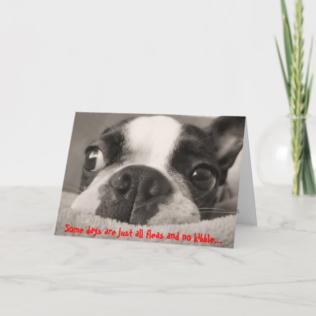 Carte Certains jours ne sont que des puces et pas de kib (Devant)