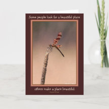 Certains recherchent un bel endroit, d'autres le r