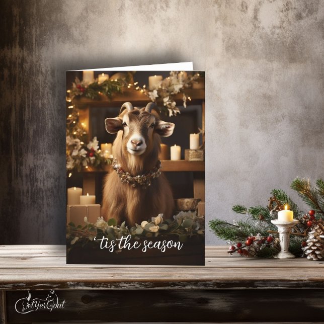 Carte C'est la saison de la chèvre de Toggenburg (If you love goats - this is a great  Holiday card to send - festive and frame worthy #zazzlemade )