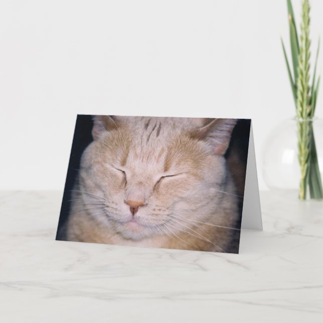 Carte "C'est le moment de mon gros plan !" (Devant)