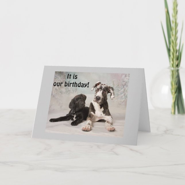 CARTE C'EST "NOTRE" JOUR D'ANNIVERSAIRE - GRAND JOUR ! (Devant)