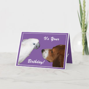 Carte C'est ton anniversaire