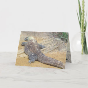 Carte C'est ton anniversaire - Marche du côté sauvage