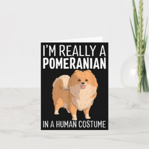Carte C'est un costume humain Un chien Pomeranian Hallow
