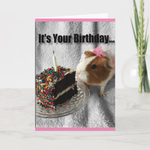Cadeaux Anniversaire De Cobaye Zazzle Fr