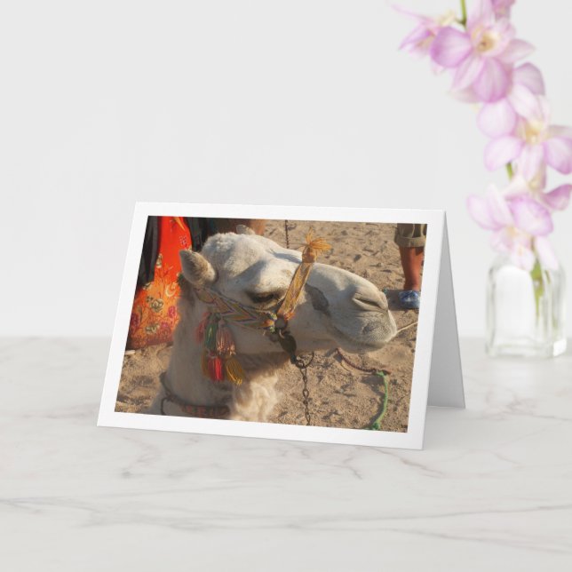 Carte Chameau Blanc dans le Désert (Orchidée)