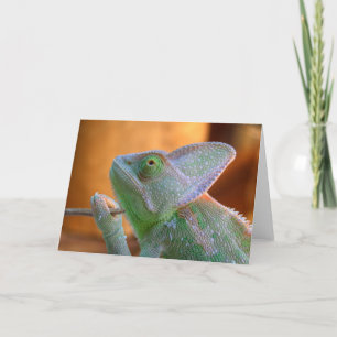 Carte Chameleon huard