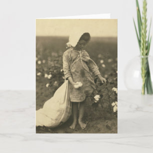 Carte Champ de coton