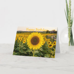 Carte Champ de tournesols