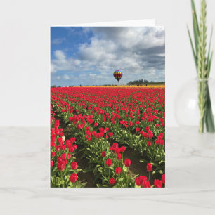 Carte Champ de tulipe rouge avec ballon à air chaud