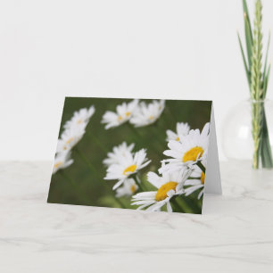 Carte Champ des marguerites - pensant à vous