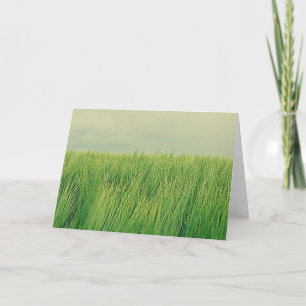 Carte Champ vert
