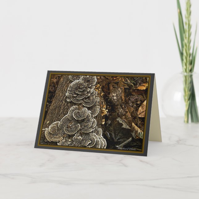 Carte champignons (Devant)