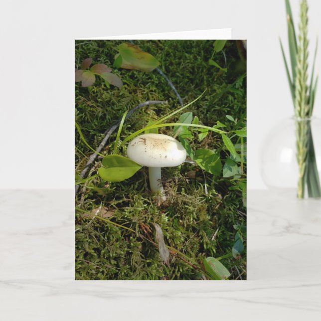 Carte Champignons dans la forêt (Devant)