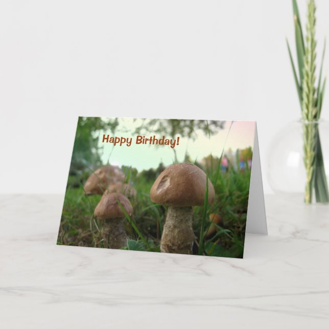 Carte Champignons de campagne Joyeux anniversaire (Devant)