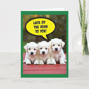 Carte Chance Irlandaise pour Toi Chien