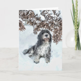 Carte Changement de saison