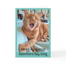 Chanson de Ginger Cat pour Special Valentine