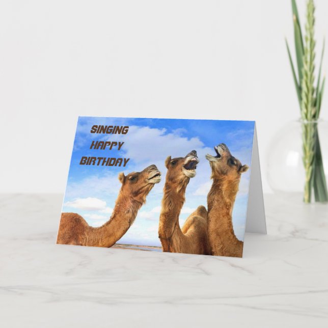 CARTE CHANTER DES CAMELS CHANTER **JOLIE ANNIVERSAIRE** (Devant)