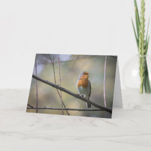 Carte Chanter Robin