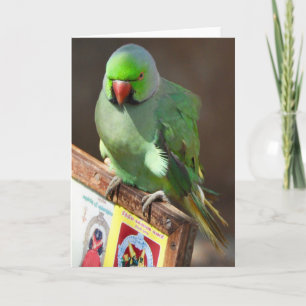 Carte Chanteur de rue, Tamil Nadu, Inde du Sud