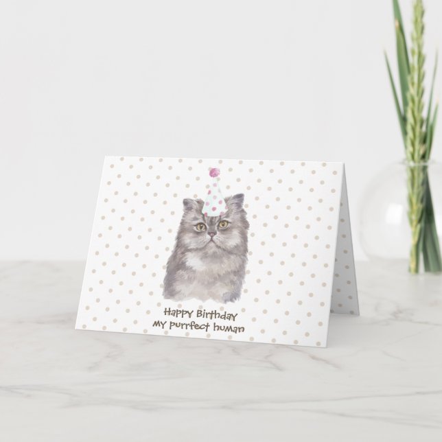 Carte Chapeau de célébration de fête Chat persan Anniver (Devant)