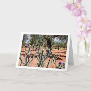 Carte Chardon cotonneux, plante Onopordum