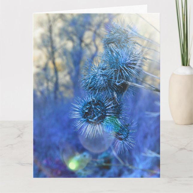 Carte Chardon en violet (Devant)