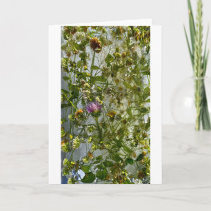 Carte Chardon et trèfle glacés,