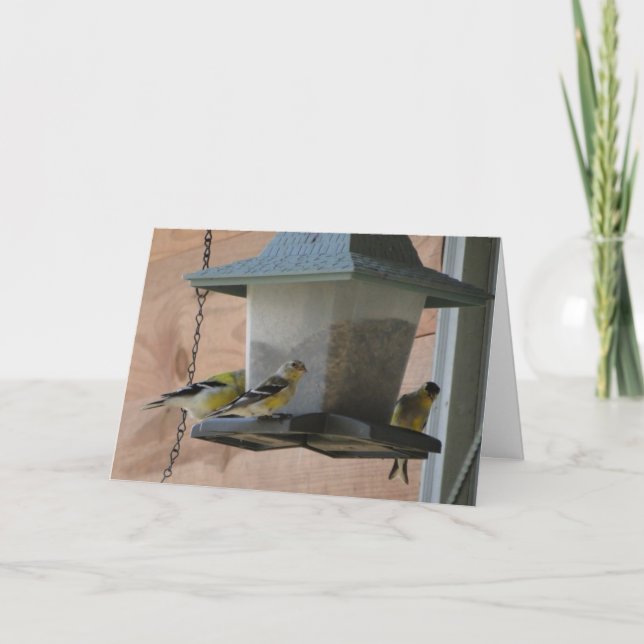 Carte Chardonneret/acclamation (Devant)