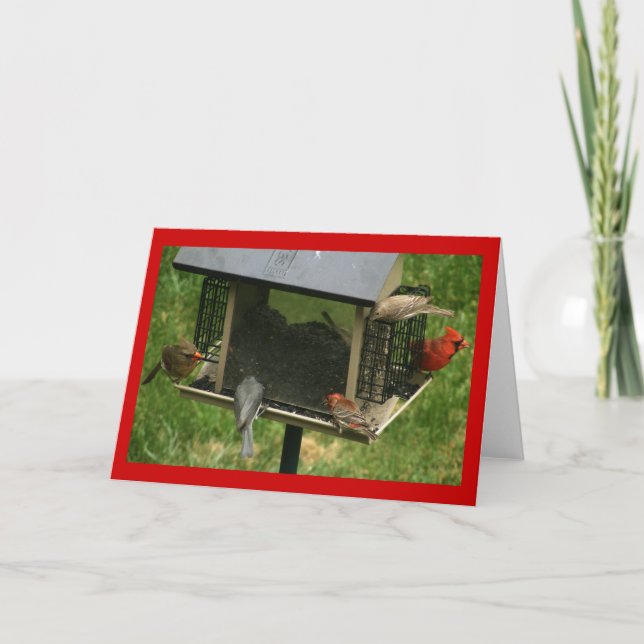 Carte Chargeur d'oiseaux occupé (Devant)