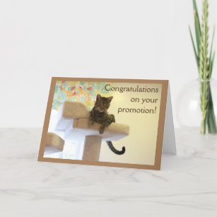 Carte Chat