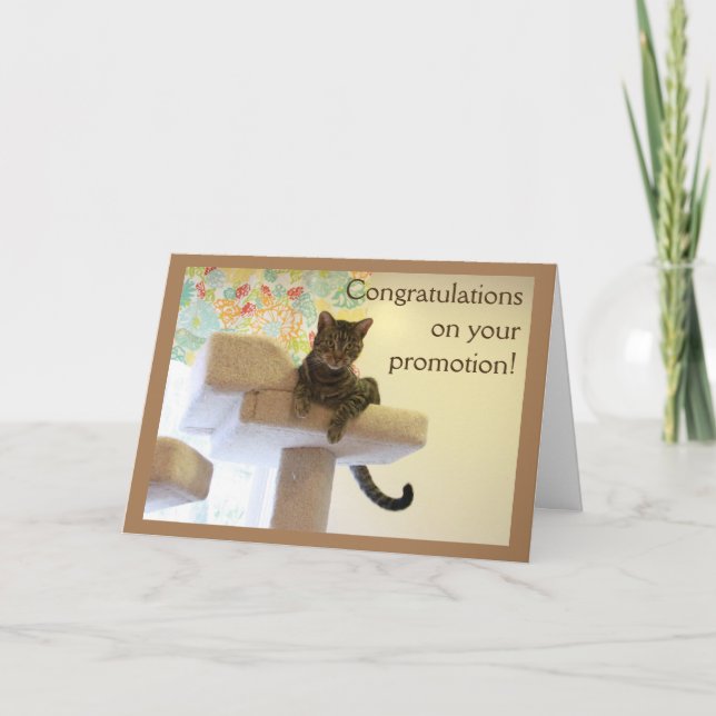 Carte Chat (Devant)