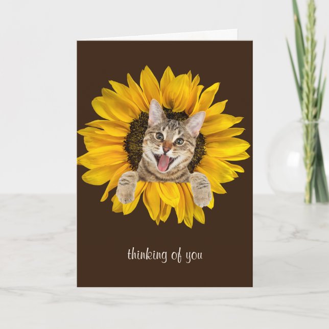 Carte chat à ongles dans le tournesol (Devant)