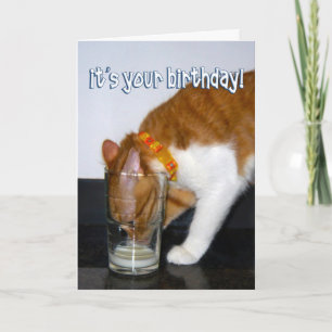 Carte Chat amusant à boire du verre - Joyeux anniversair