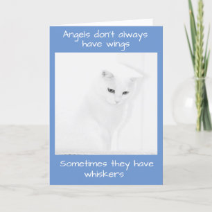 Carte Chat Ange Blanc Offre La Sympathie
