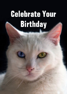 Cartes Turc D Anniversaire Zazzle Fr