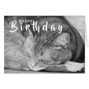 Carte Chat Anniversaire   Carte de voeux pour amou