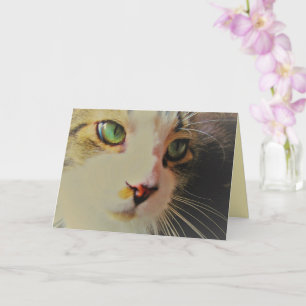 Carte Chat au Regard Fugace aux Yeux Verts