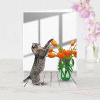 Chat aux tulipes orange