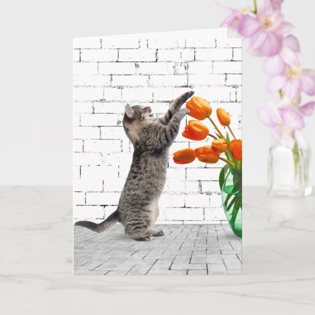 Carte Chat avec Tulipes Orange Anniversaire (Orchidée)