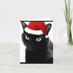 Carte Chat "Ayez-vous un joyeux petit Noël"